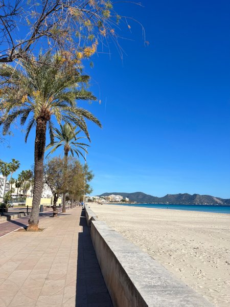 Small Oasis in Mallorca - Cala Millor - for Rent for 5 Months