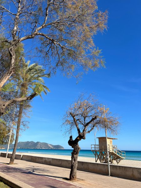 Small Oasis in Mallorca - Cala Millor - for Rent for 5 Months