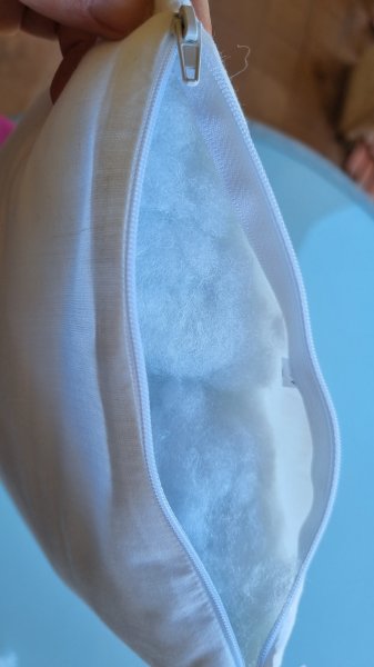 Small pillow (56 x 25 cm) with cover