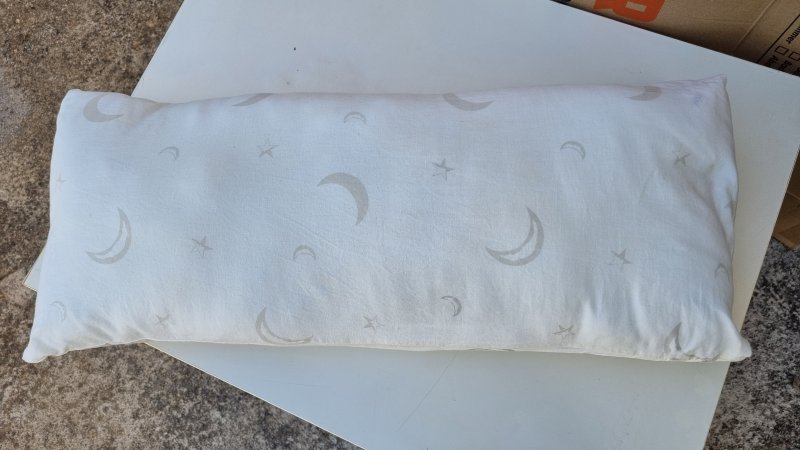 Small pillow (56 x 25 cm) with cover