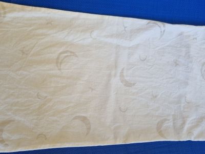 Small pillow (56 x 25 cm) with cover