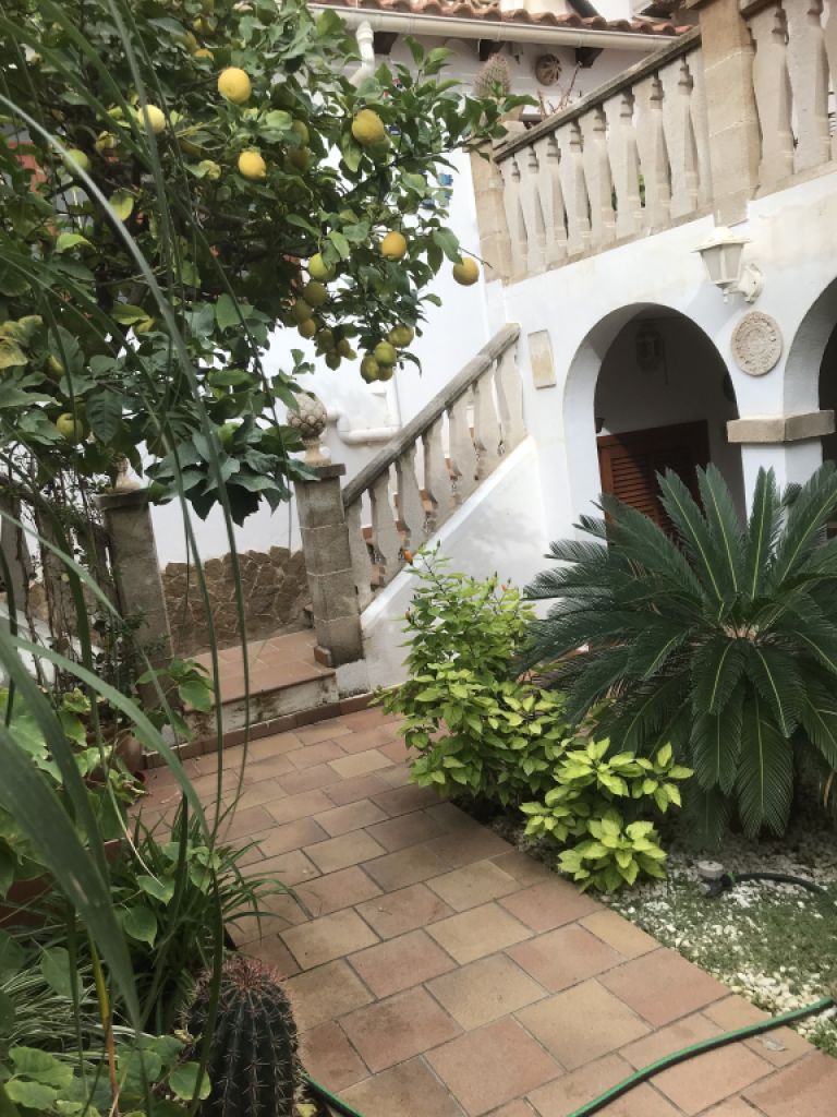 Gem in Palma for a limited time