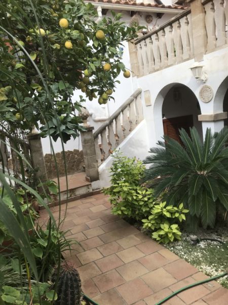 Gem in Palma for a limited time