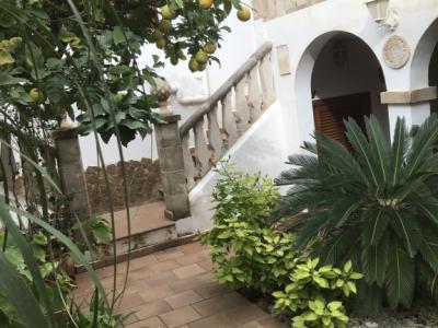 Gem in Palma for a limited time