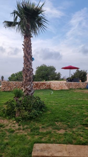 Komplett restaurierte Mühle zum Verkauf zwischen Cas Concos und Felanitx