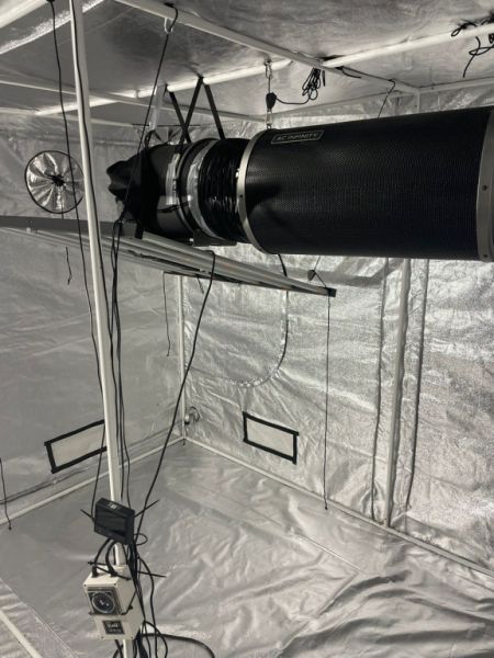 Komplette Grow-Anlage zu verkaufen (ohne Zelt)