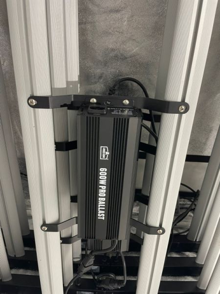 Komplette Grow-Anlage zu verkaufen (ohne Zelt)