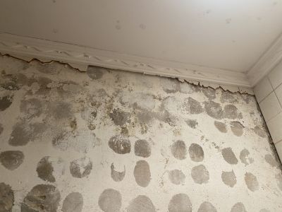 Komplettrenovierung von Wohnungen