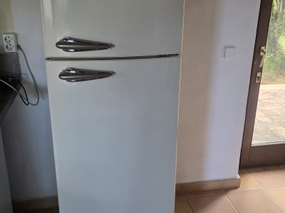 Kühl/Gefrierkombi Retro style 170x60