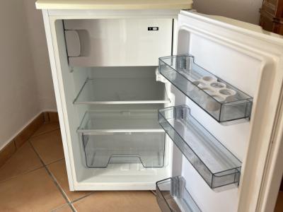 Fridge with freezer compartment