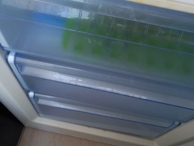 Nevera / Combi frigorífico-congelador para recogida - Cala Mendia