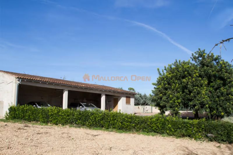 Ländliche Villa zur Miete – Absolute Privatsphäre im Herzen Mallorcas