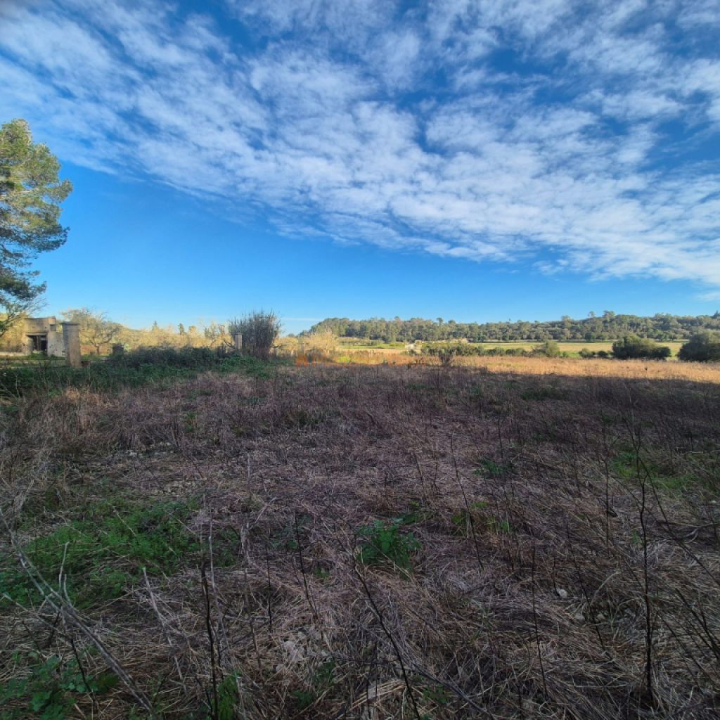 Rural land for sale – Municipality of Petra