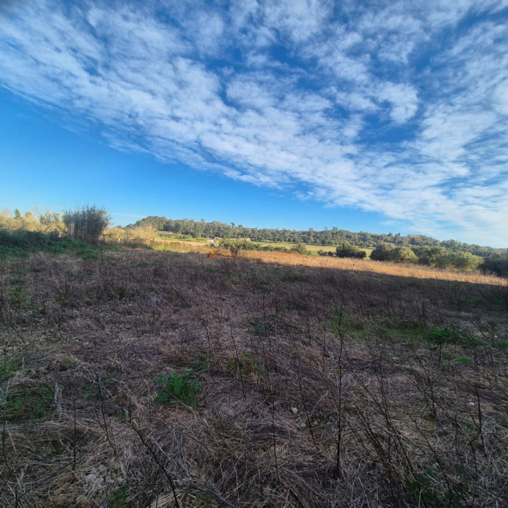 Ländliches Grundstück zu verkaufen – Gemeinde Petra