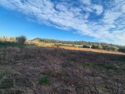 Ländliches Grundstück zu verkaufen – Gemeinde Petra