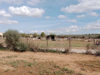 Rural plot between Campos and Cas Concos des Cavaller