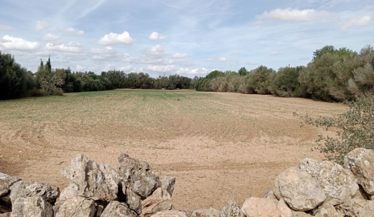 Rural plot between Campos and Cas Concos des Cavaller