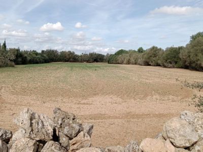 Rural plot between Campos and Cas Concos des Cavaller
