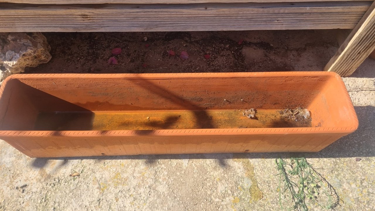 Länglicher Terracottakübel günstig abzugeben