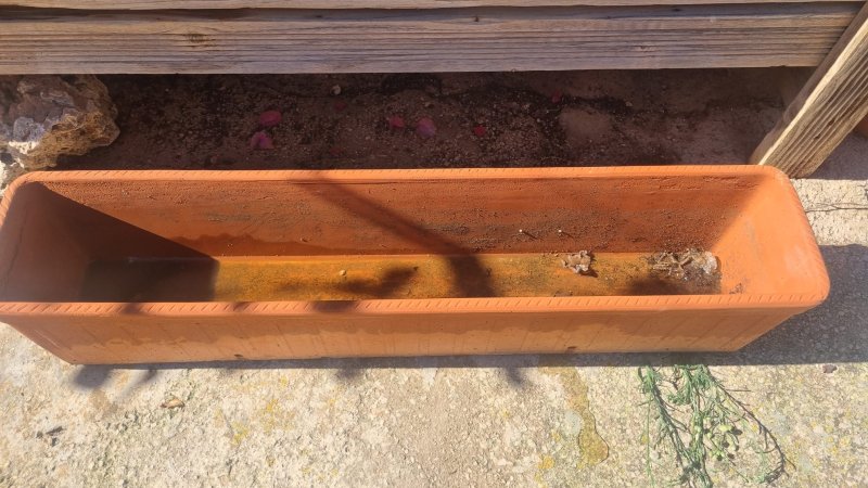 Länglicher Terracottakübel günstig abzugeben