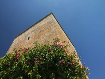 Langzeit/Überwintern Mallorca Pool Finca 2 Pers Ferienhaus Campos