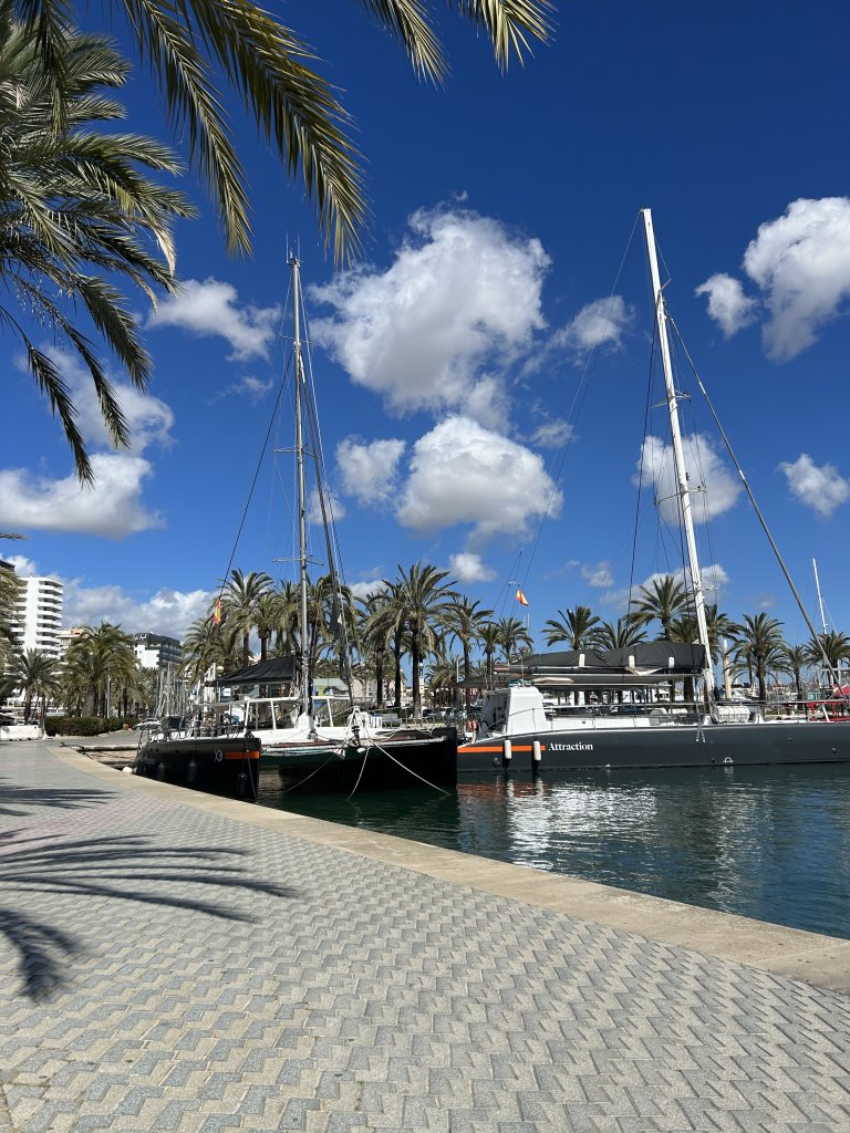 Langzeitmiete gesucht, bis 1000€ , Palma oder Nähe bevorzugt, 3 Personen, Tiere erlaubt