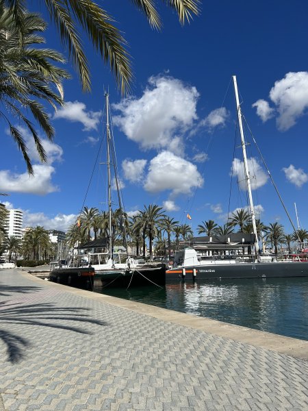 Langzeitmiete gesucht, bis 1000€ , Palma oder Nähe bevorzugt, 3 Personen, Tiere erlaubt