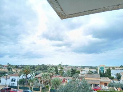 Las Palmeras / LLucmajor