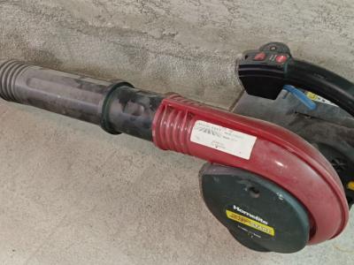 Laubbläser, Benzinmotor gemäss Fotos