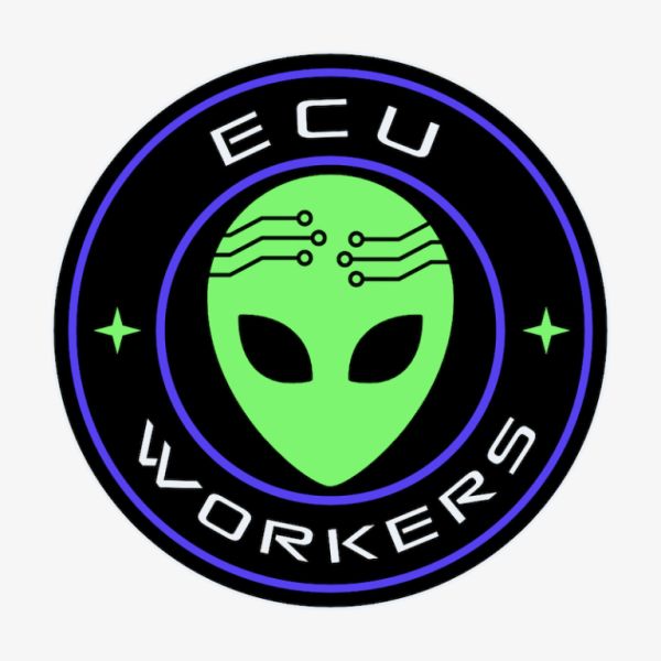 Performance increase - more performance through OBD chip tuning - consumption reduction