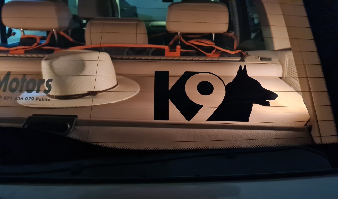 Liebevolle und kompetente Hundebetreuung in meiner häuslichen Geborgenheit!