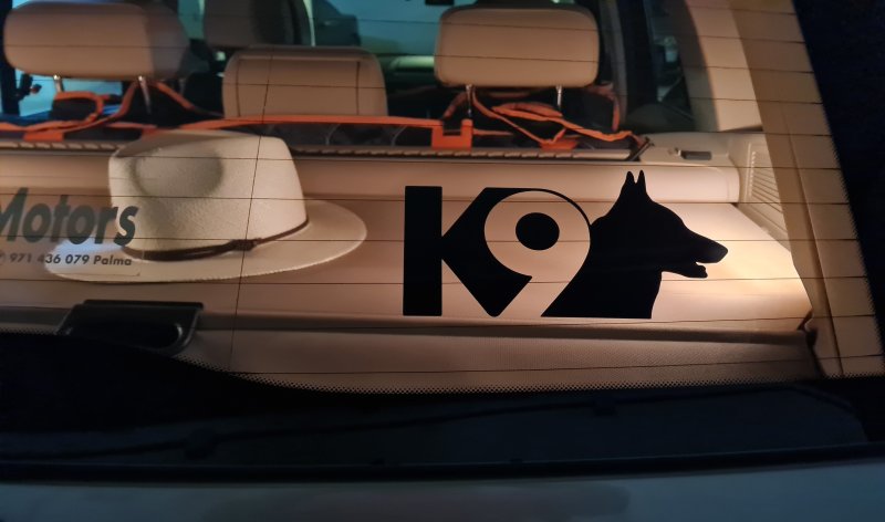 Liebevolle und kompetente Hundebetreuung in meiner häuslichen Geborgenheit!