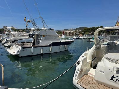 Amarre 12 x 4,30 metros en el Club Náutico Palma Nova