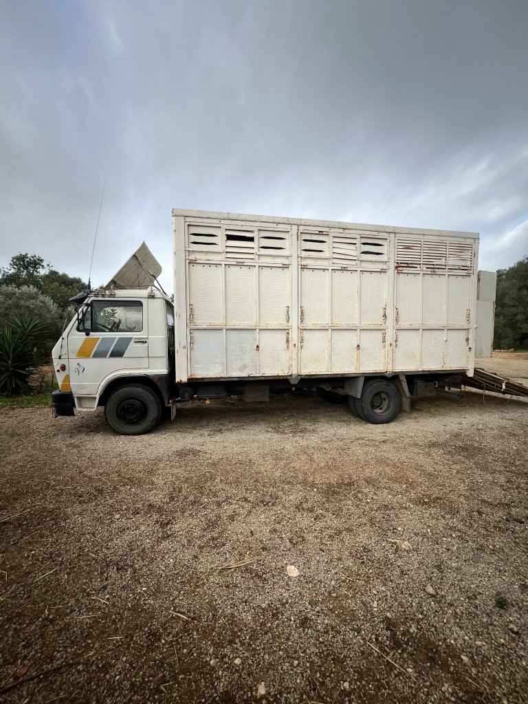 LKW für 7 Pferde, 7,5 t