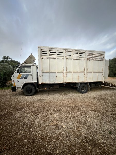 LKW für 7 Pferde, 7,5 t