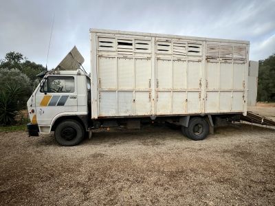 LKW für 7 Pferde, 7,5 t