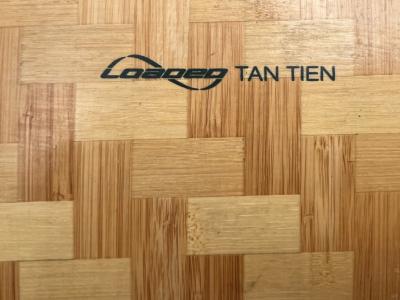 Longboard - Skateboard Loaded Tan Tien Flex 2