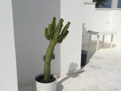 Luxus-Penthouse zum Verkauf in Porto Cristo