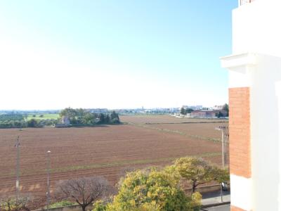 Mallorca - Exklusive Stadtwohnung mit großzügigem Raumangebot in Palma