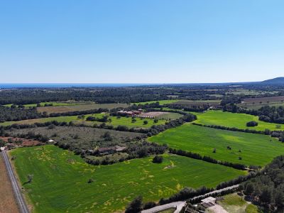 Mallorca neu fühlen  eine Finca, die mehr ist als ein Zuhause