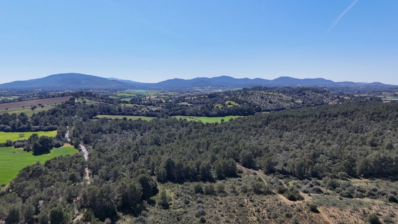 Mallorca neu fühlen  eine Finca, die mehr ist als ein Zuhause