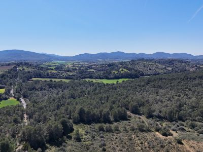 Mallorca neu fühlen  eine Finca, die mehr ist als ein Zuhause