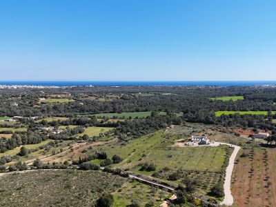 Mallorca neu fühlen  eine Finca, die mehr ist als ein Zuhause