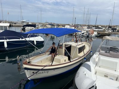Mallorquinische Llaut