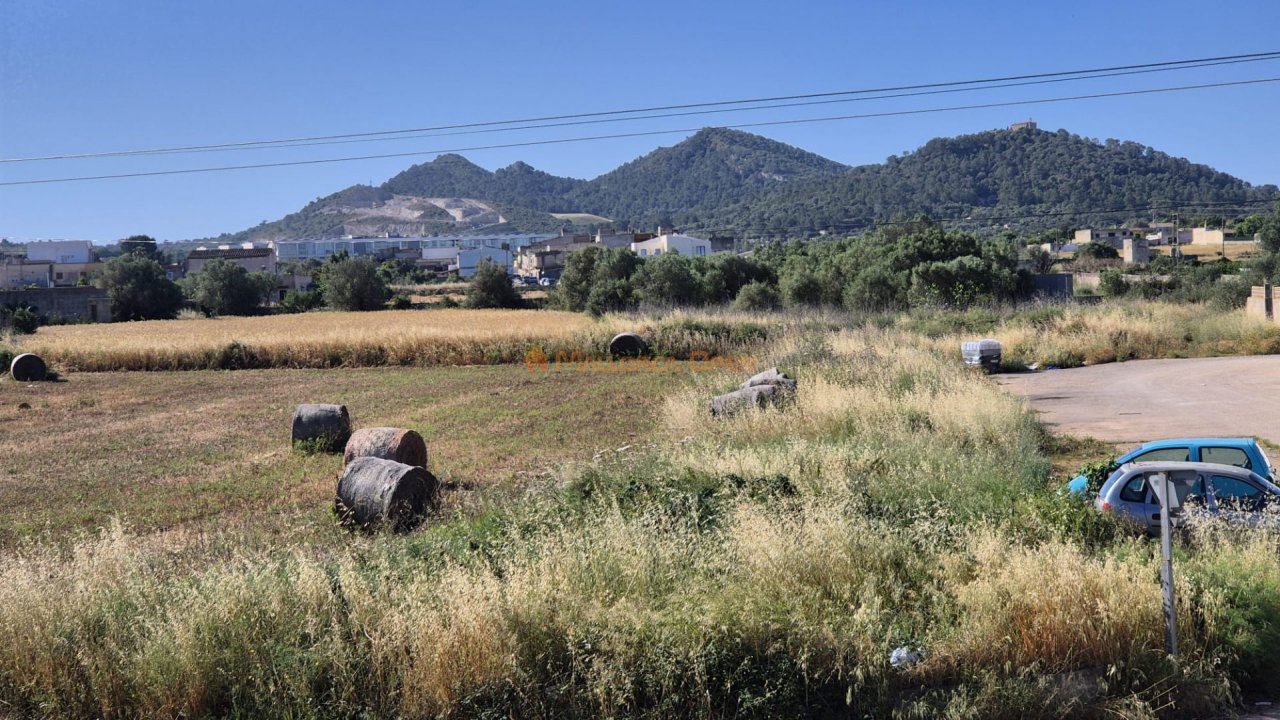 Mallorquinisches Haus in Manacor zu verkaufen