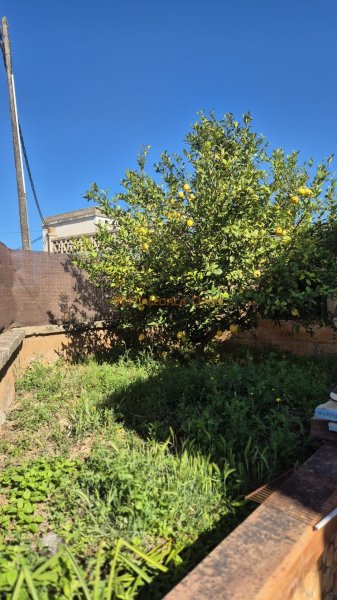 Mallorquinisches Haus in Manacor zu verkaufen