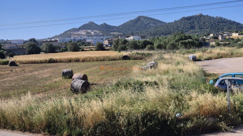 Mallorquinisches Haus in Manacor zu verkaufen