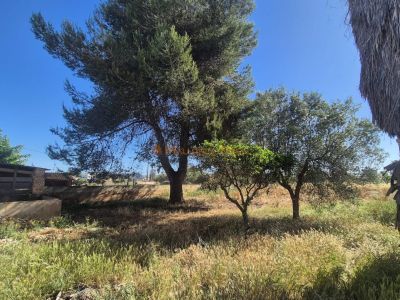 Mallorquinisches Haus in Manacor zu verkaufen
