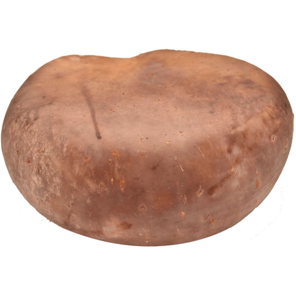 Mangalica Schweinekäse ganz vakuumiert