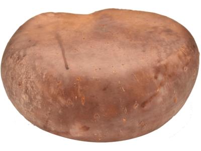 Mangalica Schweinekäse ganz vakuumiert